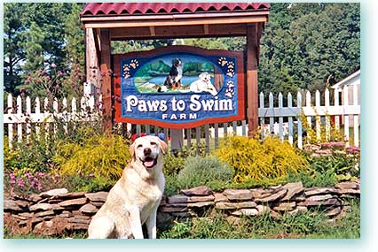 Paws to Swim Farm