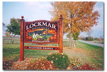 Lockmar Holsteins